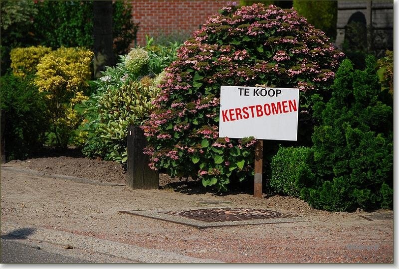 Nooit te vroeg Watertorenstraat.JPG - Nooit te vroeg Watertorenstraat